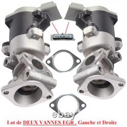 Deux Vannes EGR Avants pour Peugeot 407 607 Land Rover Discovery III Jaguar