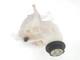 PCF500014 renfort pare-choc av pour LAND ROVER DISCOVERY 2.7 5H229B019AA 1738246