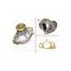 Pompe De Refroidissement Moteur Pour Land Rover Discovery III 4.2 4x4 4.4